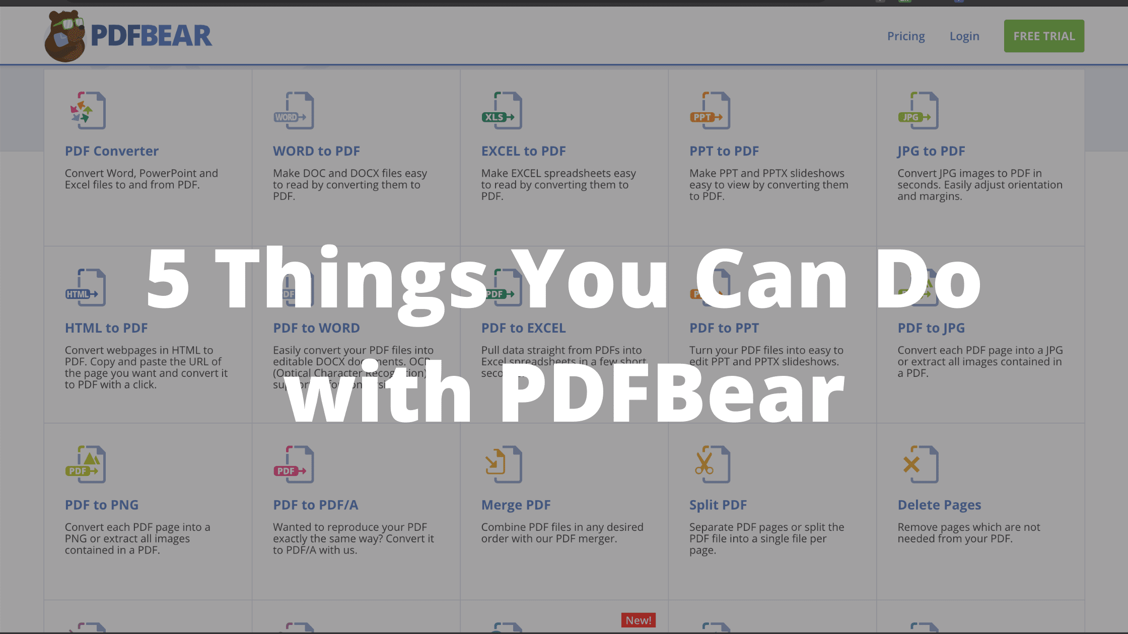 Things You Can Do with PDFBear