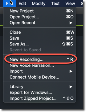 camtasia record audio